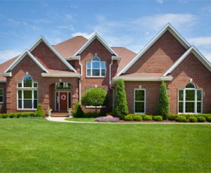 Lawn Care Programs