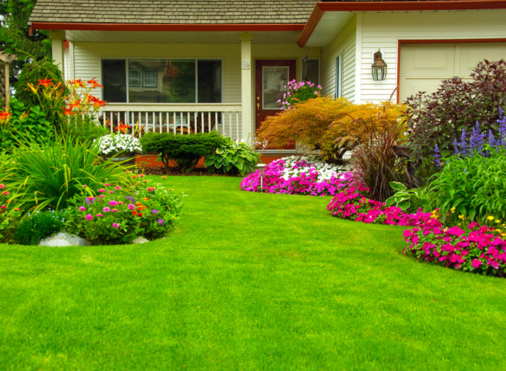 Lawn Care And Treatment Programs, How To Get Llc For Landscaping
