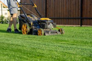 Spring Lawn Care Checklist for Pittsburgh Yards