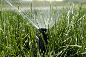 DIY Lawn Care Mistakes Local Homeowners Make
