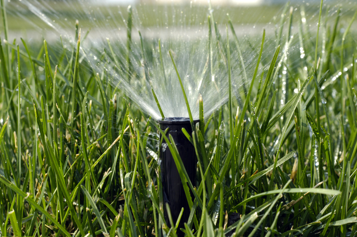DIY Lawn Care Mistakes Local Homeowners Make