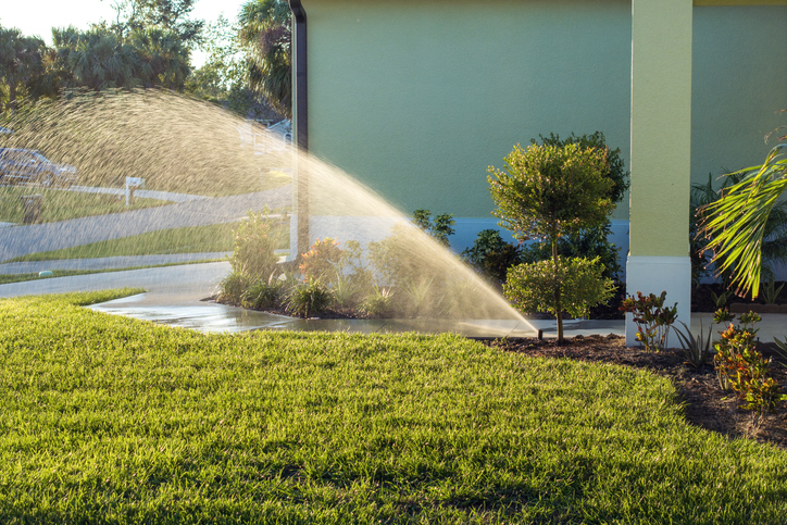 Identifying & Treating Red Thread, Dollar Spot & Other Lawn Diseases in Pittsburgh | Superior Lawn Care Identifying & Treating Red Thread, Dollar Spot & Other Lawn Diseases in Pittsburgh