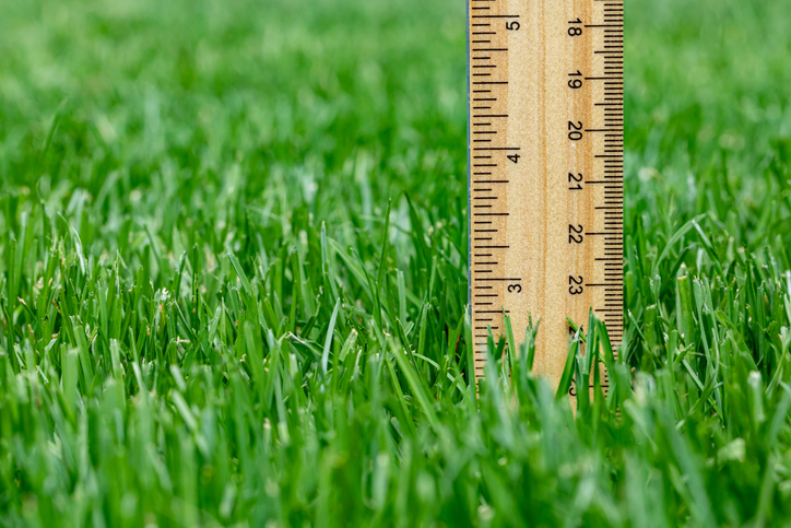 How Mowing Height in Late Spring Affects Your Lawn All Summer | Superior Lawn Care Wooden ruler standing upright in green grass, measuring height around 23 cm (approximately).