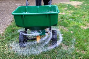 Why Lawns Start Struggling in Early Summer (And How to Get Ahead of It)